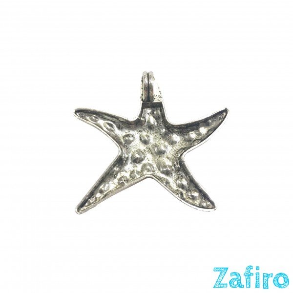 Colgante de estrella de mar